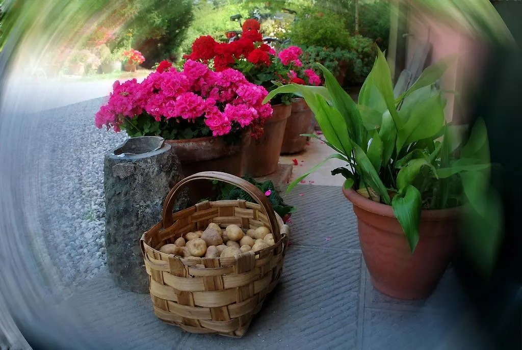 Bed & Breakfast Ospitalità Rurale l'Uccelliera Bed and Breakfast Lucca