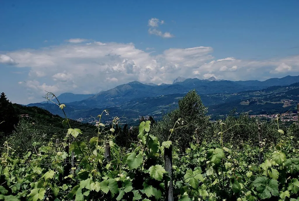 Bed & Breakfast Ospitalità Rurale l'Uccelliera Bed and Breakfast Lucca